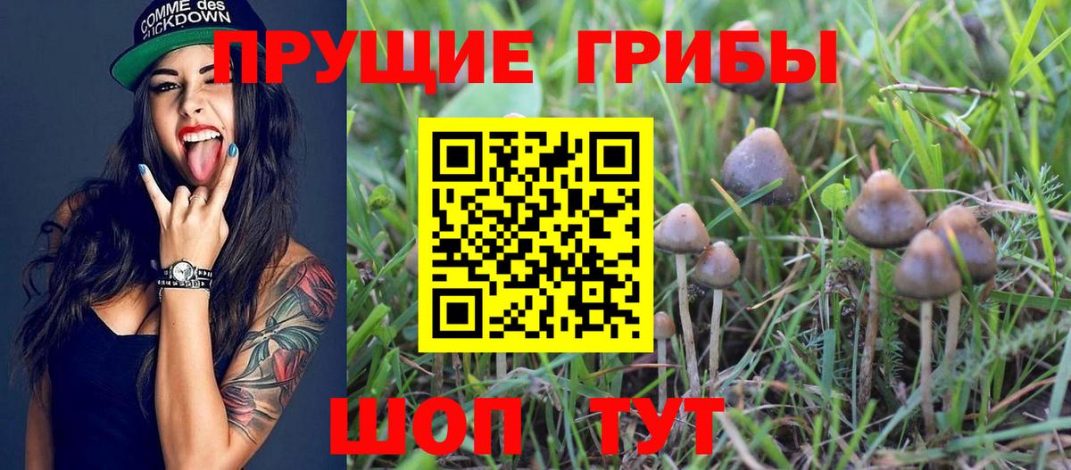 КОКАИН  МЕФ   ЭКСТАЗИ  Волгоград  Где купить  Вход с VPN  А ПВП СК  