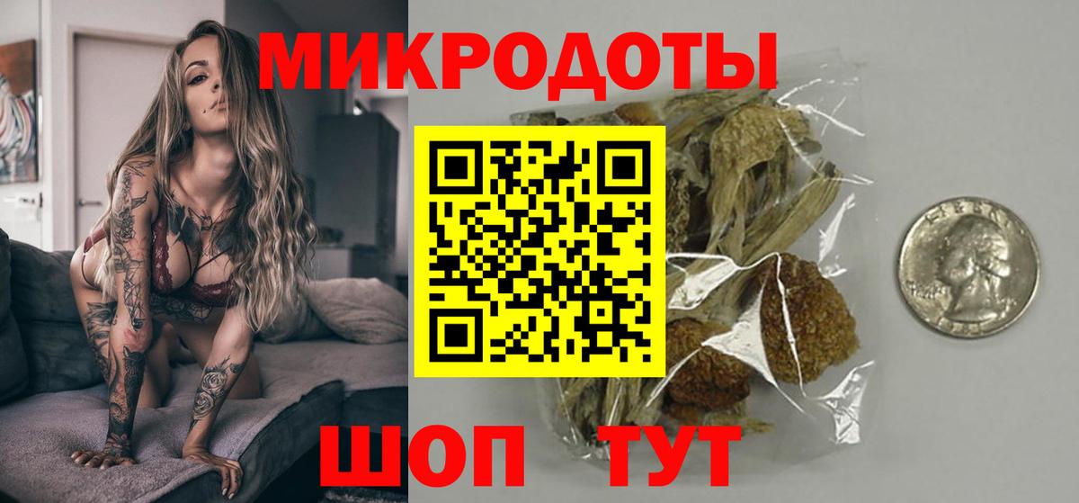 Волгоград  Псилоцибиновые грибы Psilocybine cubensis  Вход с VPN 