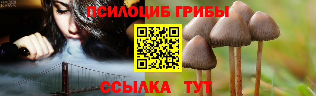 Галлюциногенные грибы мухоморы Волгоград