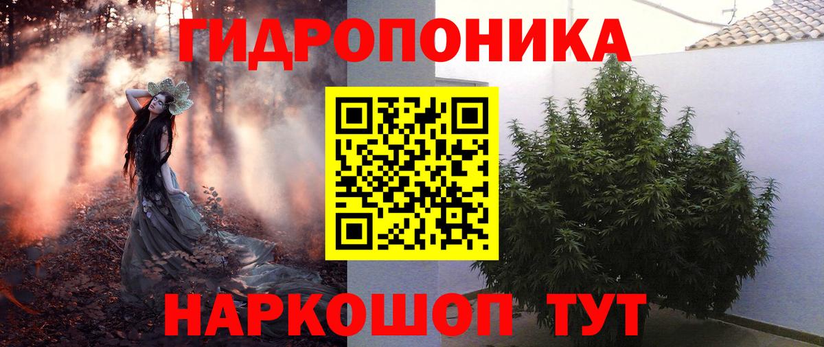 МАРИХУАНА тримм  Конопля Bruce Banner  Бошки марихуана LSD WEED  Бошки Шишки THC 21%  Волгоград  Вход с VPN 